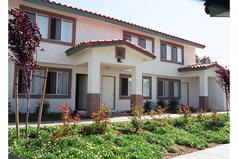 Corona de Oro Exterior