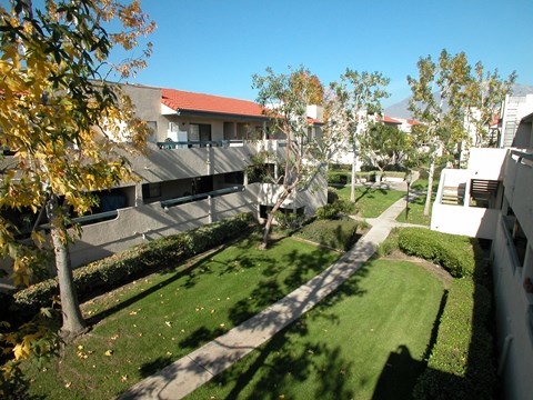 a view of the courtyard of a building with grass and trees
