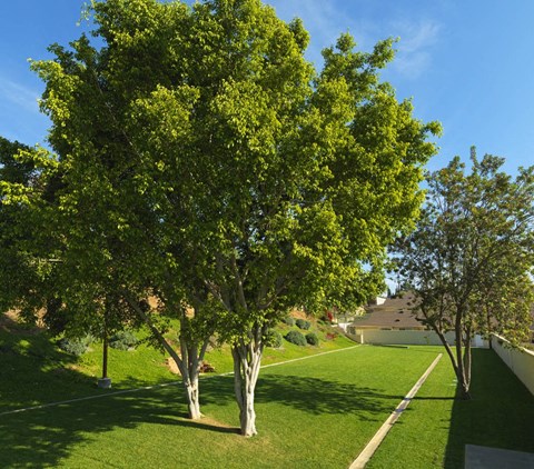 Villa Plumosa Outdoor Space