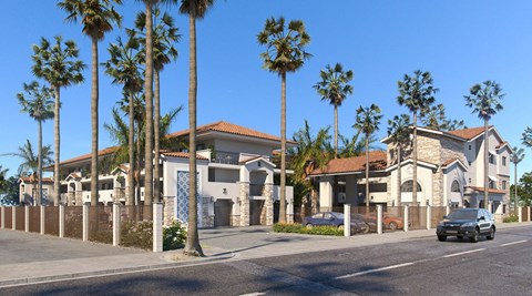 A row of palm trees line a street in front of a row of houses.