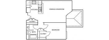1 Bedroom 1 Bathroom Floor Plan