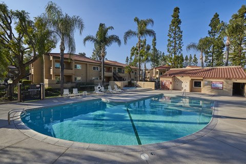 Mountainside Pool and Spa