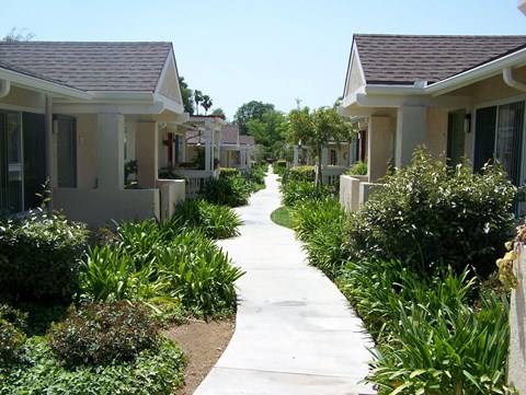 a walkway through a neighborhood of houses and plants