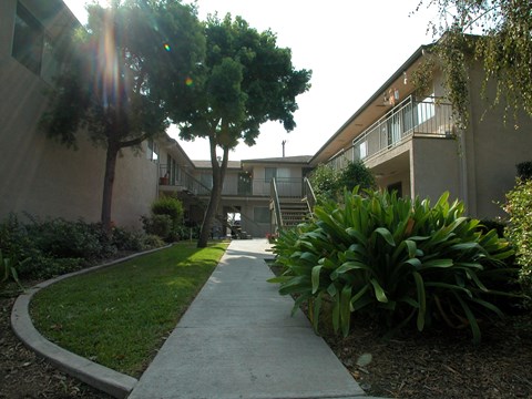 the walkway to the apartments is lined with plants and trees