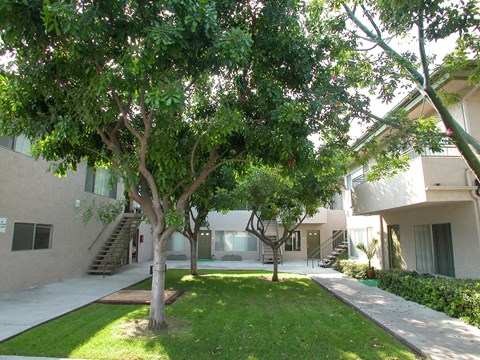 Clark Manor Courtyard
