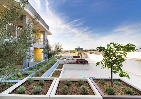 Downey View Community Garden