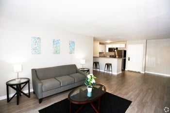 Midtown Apartment Homes Living Area Midtown Apartment Homes Living Area - Photo Gallery 6