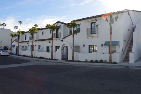 a white building with palm trees in front of it on a street