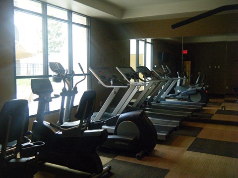 The Plaza at Sierra Gym
