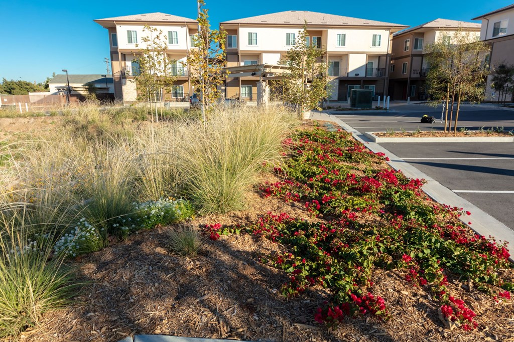 Vista Del Puente Garden