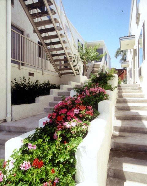 Vista Del Sol Community Walkway