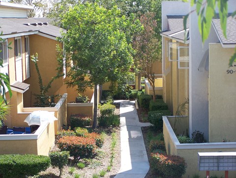 a tree lined walkway between a row of apartments