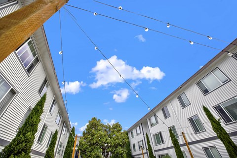Apartment complex with trees and string lights.