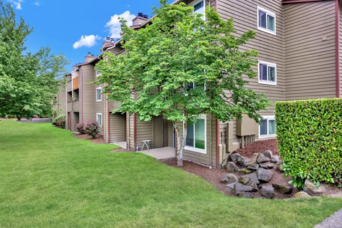 A tree in front of a building with a green lawn.