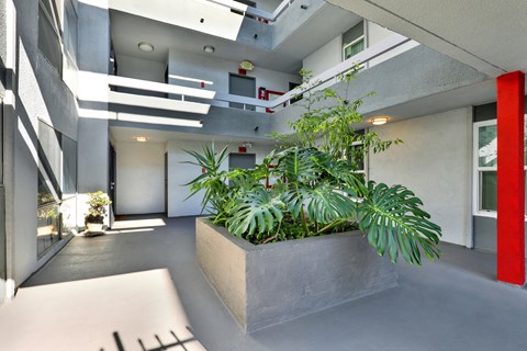 Large Courtyard at City Park View, California, 90057