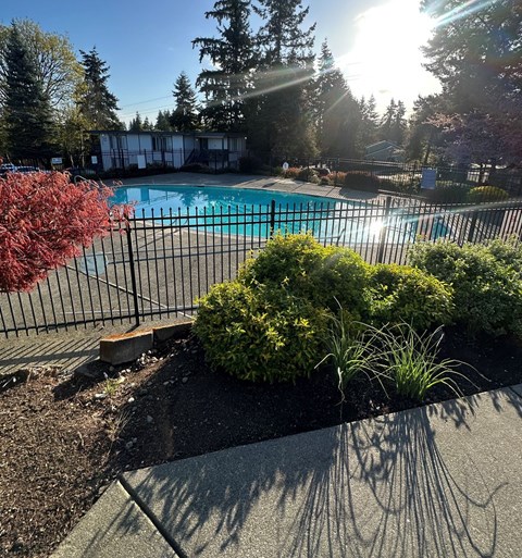 A pool surrounded by a black fence and green bushes.