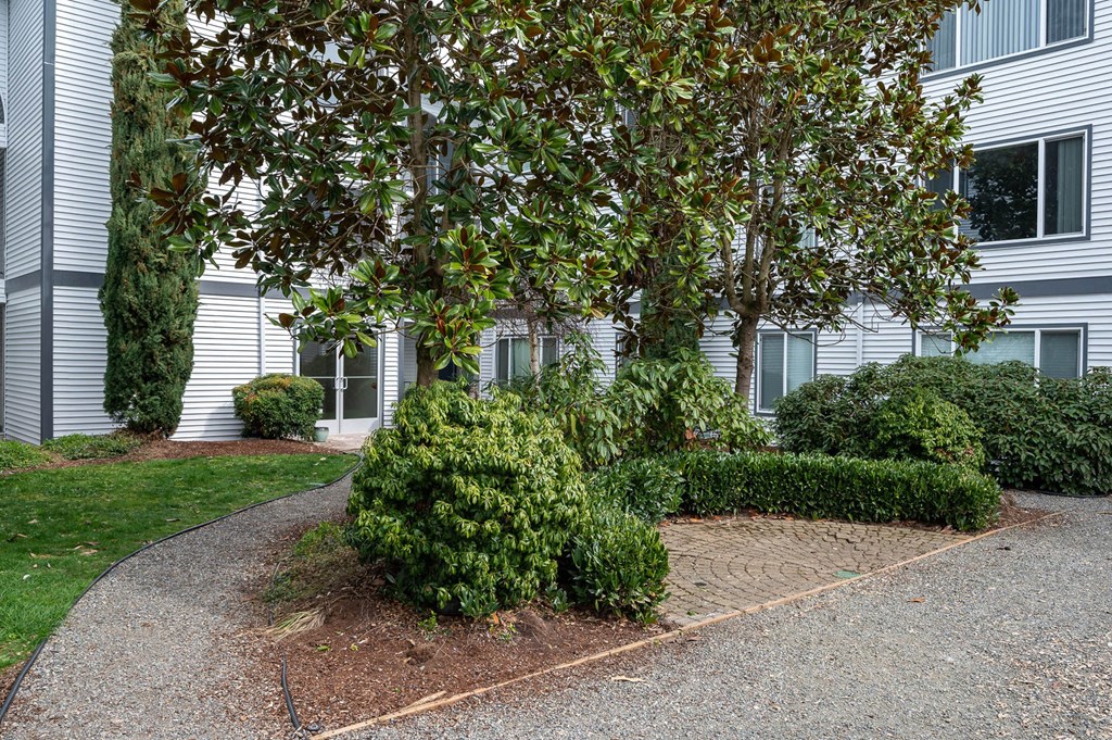 Courtyard With Mature Trees at The Ridge at Bellevue, Bellevue, 98005