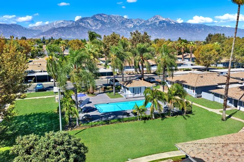 Community pool surrounded by lawn and palm trees at Coventry Square Apartments, Upland, CA