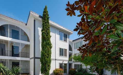 A white building with balconies and a tree in front.