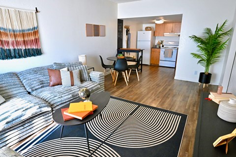 A living room with a grey sofa and a black and white rug.