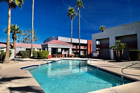 A pool surrounded by palm trees and a building.