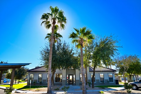 A sunny day at a residential area with palm trees and houses.