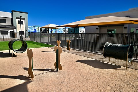 Dog Park