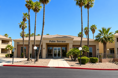 The Palm Terrace building is surrounded by palm trees.