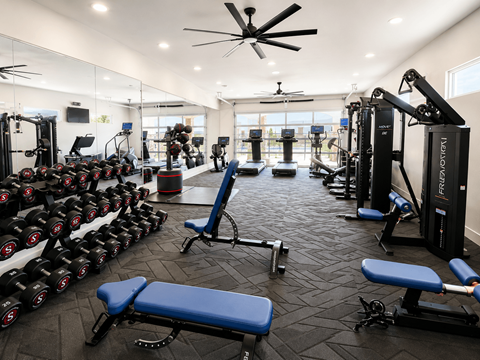 A gym with a variety of equipment including dumbbells, benches, and weight machines at The Villas at Riverwalk in Camp Verde, AZ, 86322