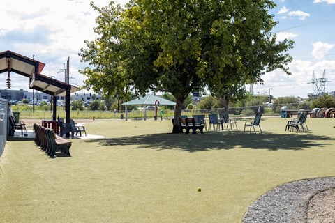 Local Dog Park at Pines at Prescott Apartments, Prescott, 86305