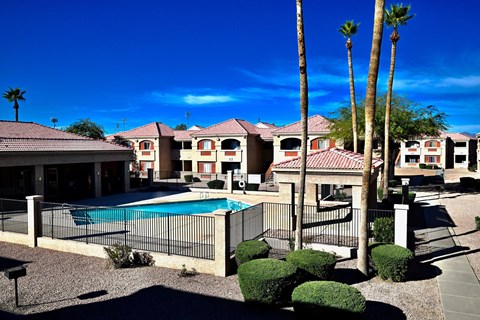 A pool surrounded by a black fence and palm trees.