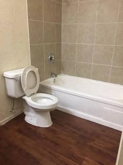 a bathroom with a toilet and a bathtub