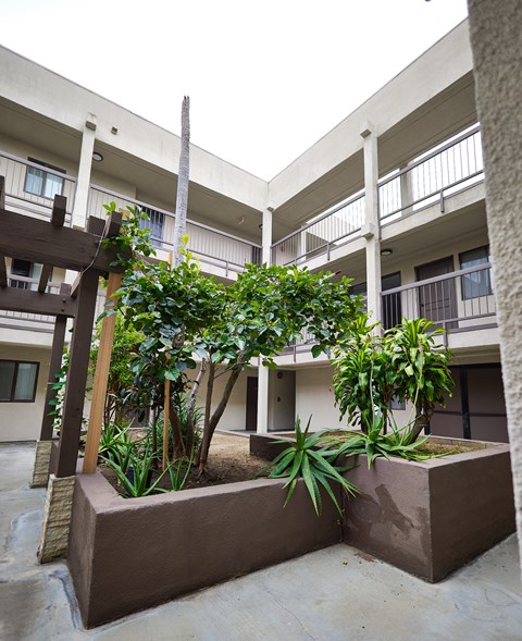 A concrete planter with a wooden trellis and green plants.