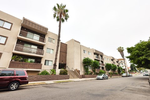 A tall palm tree stands in front of apartment buildings.