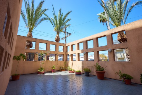 A courtyard with a tiled floor and potted plants.