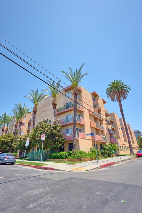 A street view of a residential area with a building, palm trees, and a car.