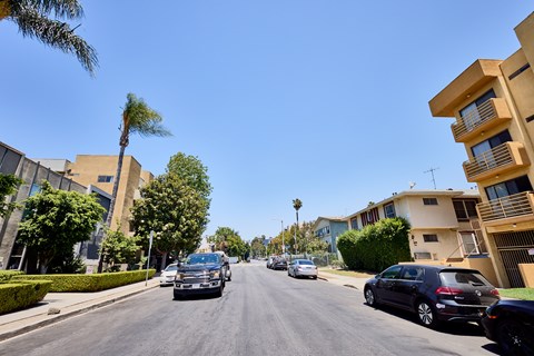 Cars driving down a street with palm trees and buildings on either side.