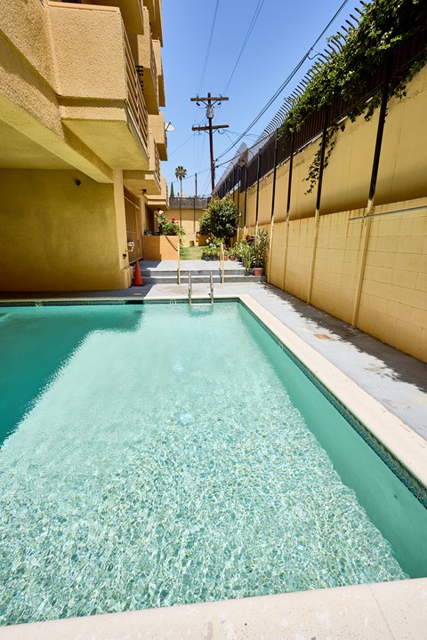 A small pool with a yellow wall and a green plant on top.