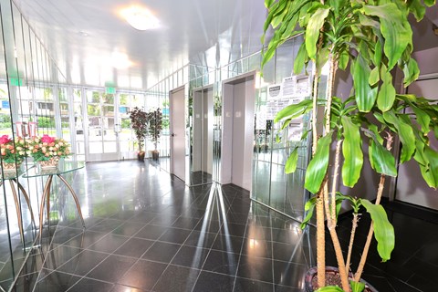 A plant in a pot sits on a black tile floor in a brightly lit hallway.