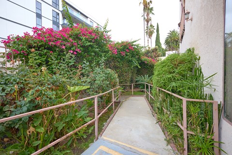 A pathway with a railing on both sides is surrounded by green plants and trees.