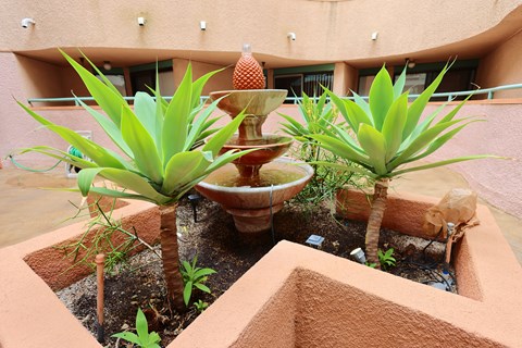 A small fountain surrounded by plants in a courtyard.