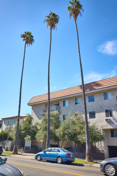 A blue car is parked on the side of the road in front of a building with palm trees.