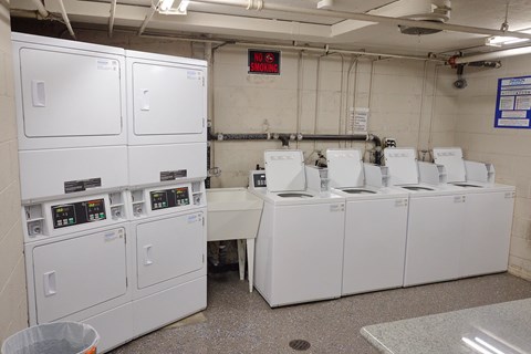 A row of washing machines are lined up in a laundry room.