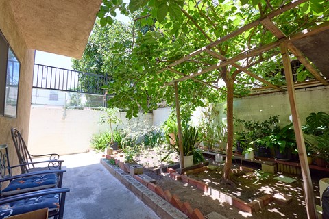 A patio with a table and chairs and a tree.