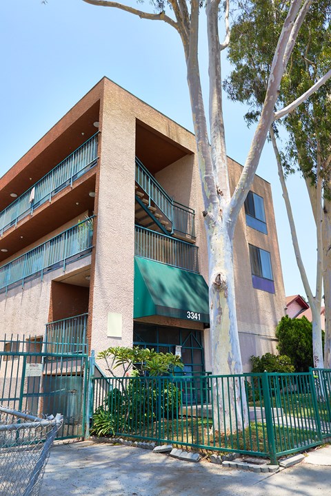 A building with a green awning and a tree in front of it.