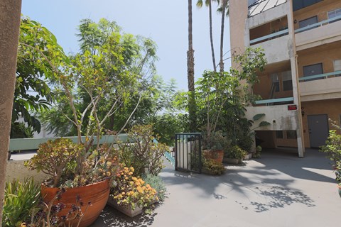 A courtyard with a building and a tree.