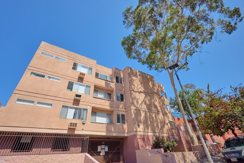 A tall building with a tree in front of it.
