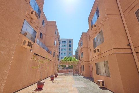 A courtyard between two buildings with a tree in a planter.