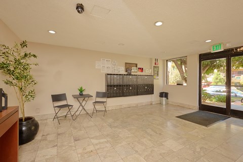 A room with a potted plant, chairs, and a table.