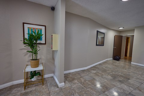 A room with a plant on a stand and a framed picture on the wall.